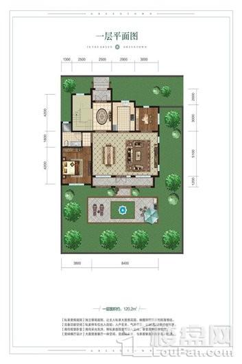 绿城·春风里227.7平5室2厅1厨3卫一层户型图