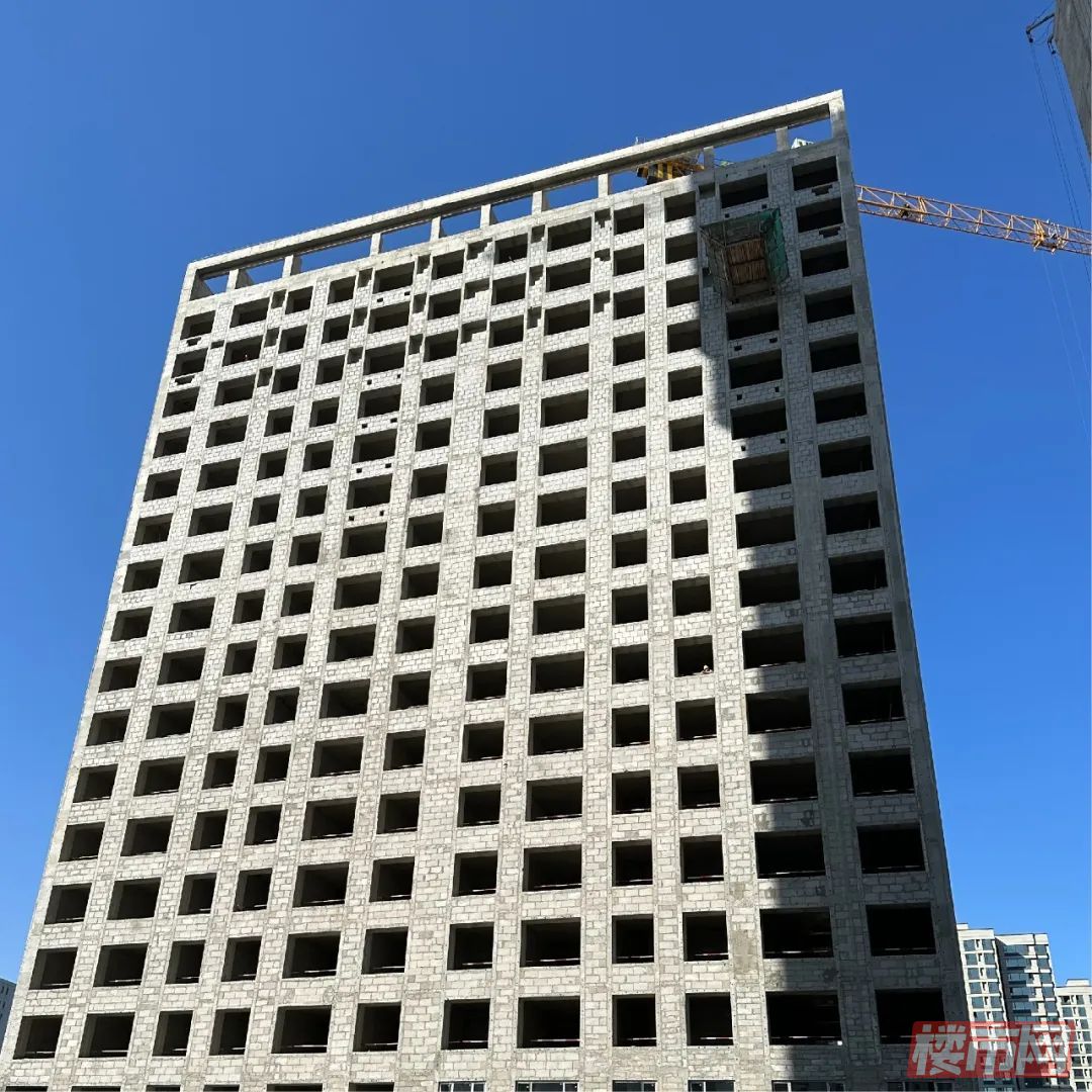 16-2310101KU9207.jpg