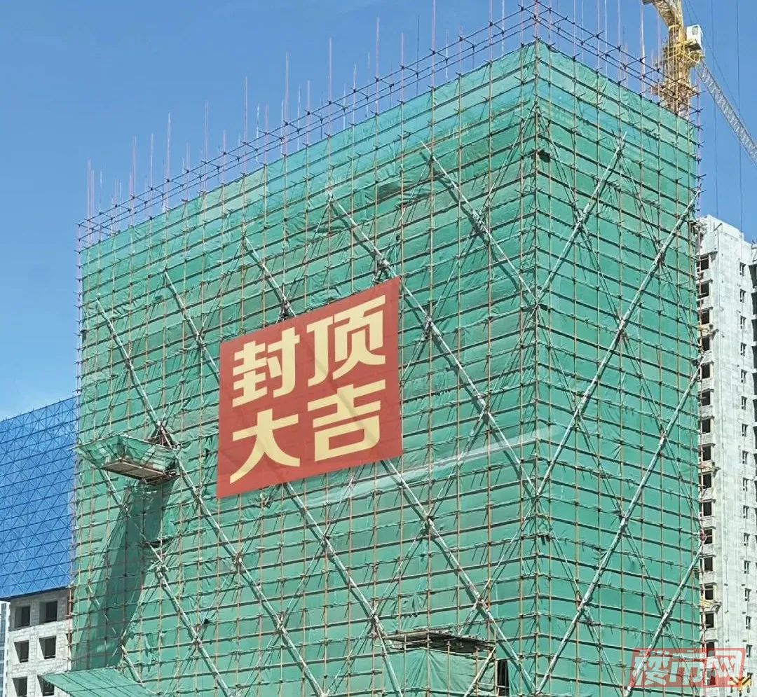 16-2310101P01IC.jpg
