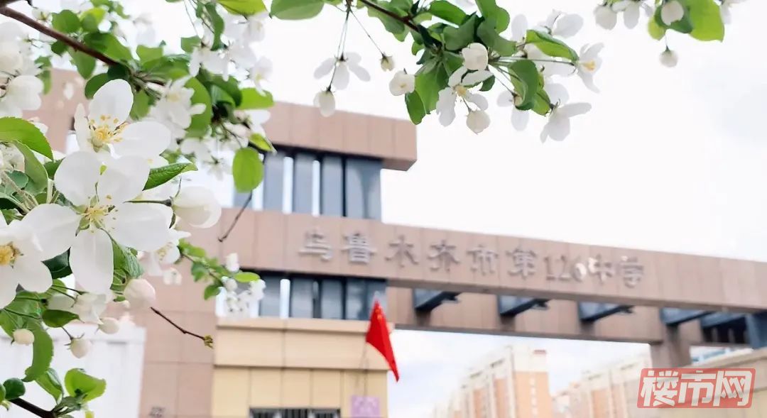云谷书院全面封顶 | 彰显超级速度与超强兑现力(图14)